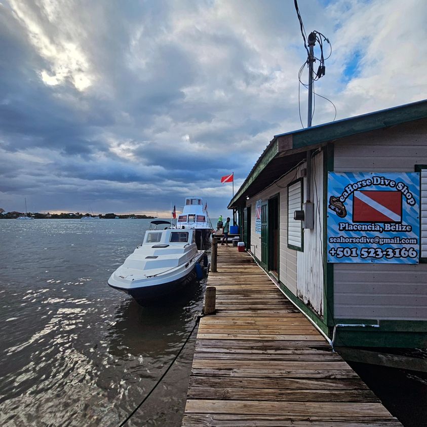 Seahorse Dive Shop Scuba Diving Placencia, Belize