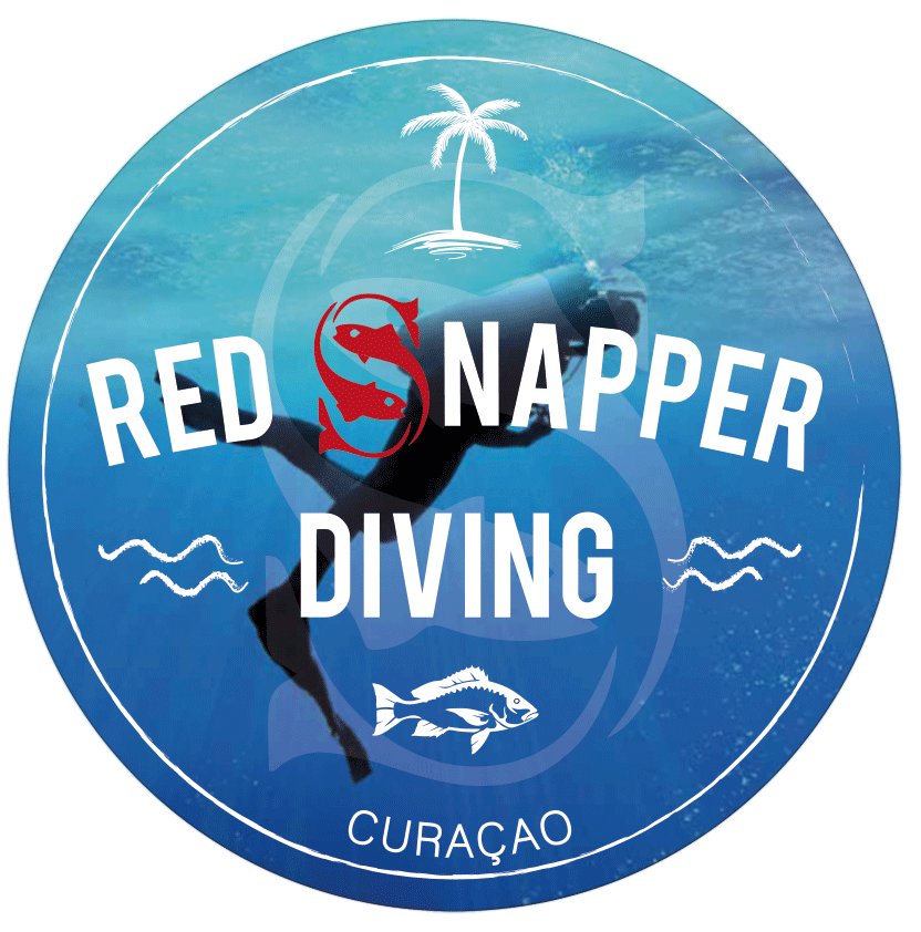 Red Snapper Diving Scuba Diving Curacao, Dutch Caribbean