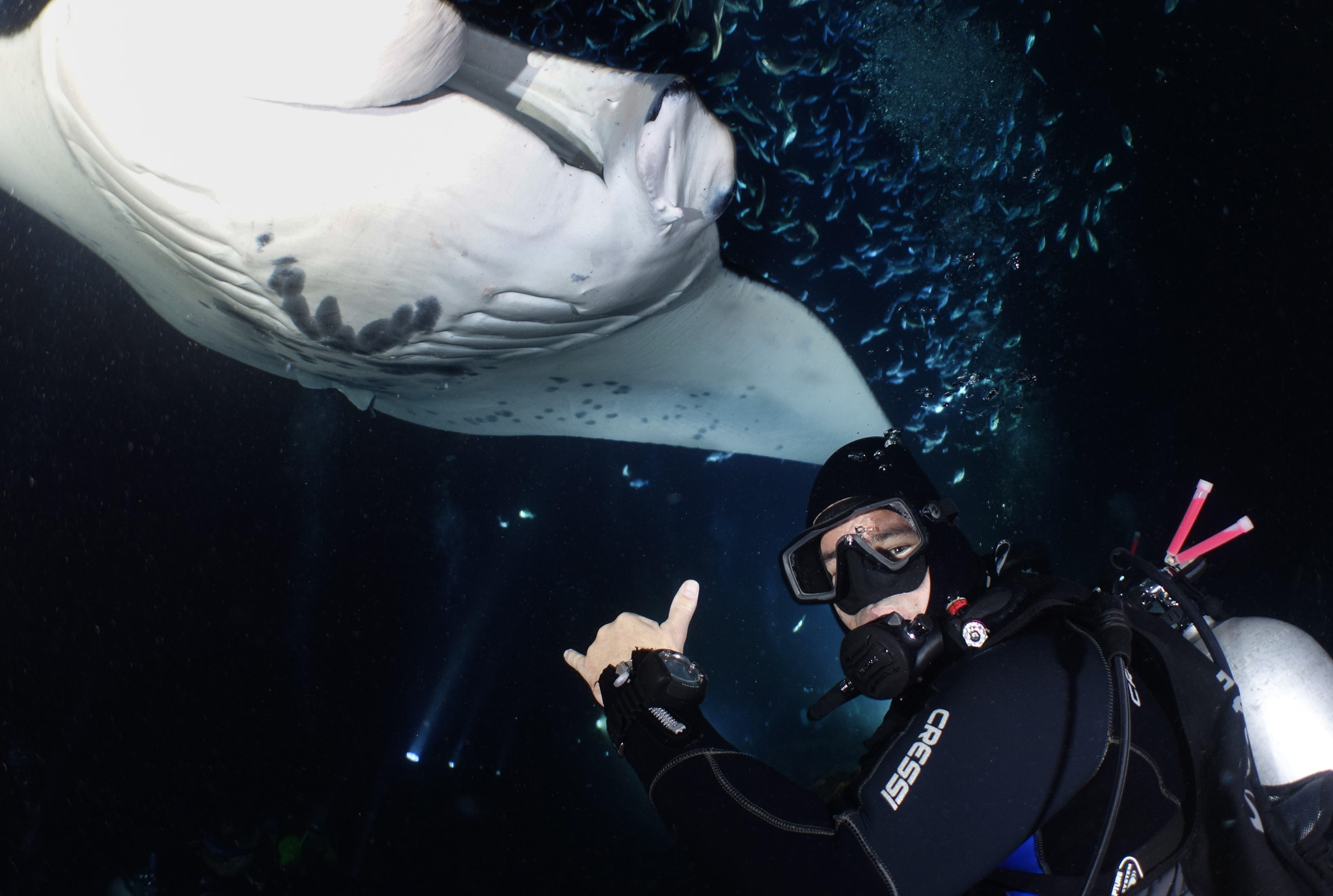 Kona Honu Divers Scuba Diving Hawaii (Big Island), United States