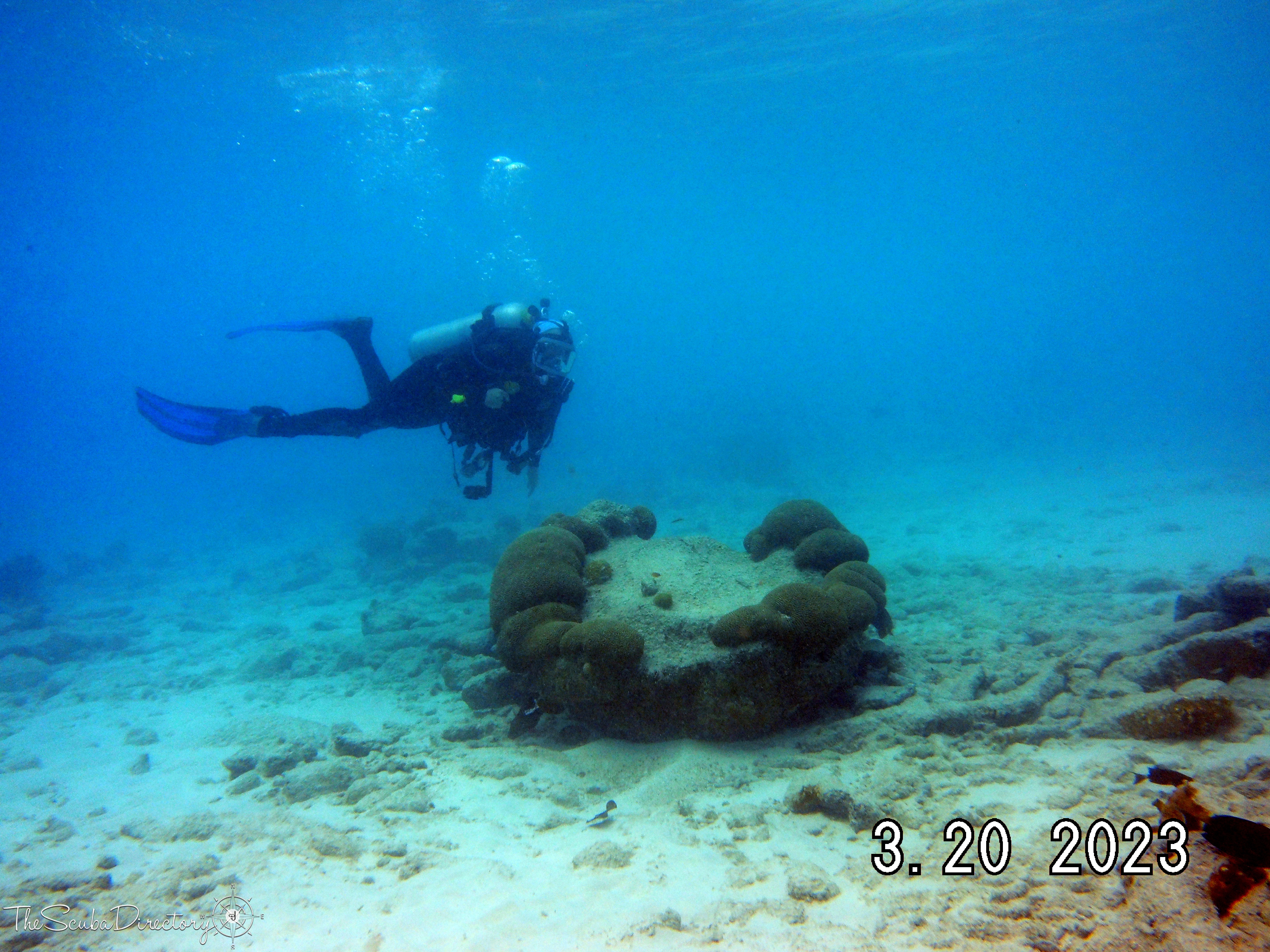 Dive Friends Bonaire @ Dive Inn Scuba Diving Bonaire, Dutch Caribbean