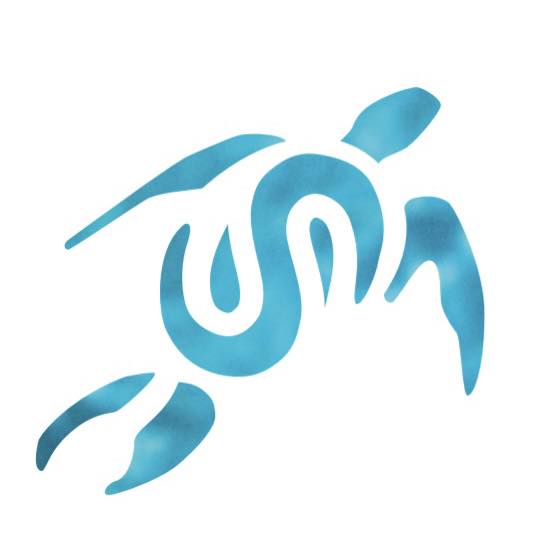 Subsurface Fiji Scuba Diving Malolo Lailai, Fiji