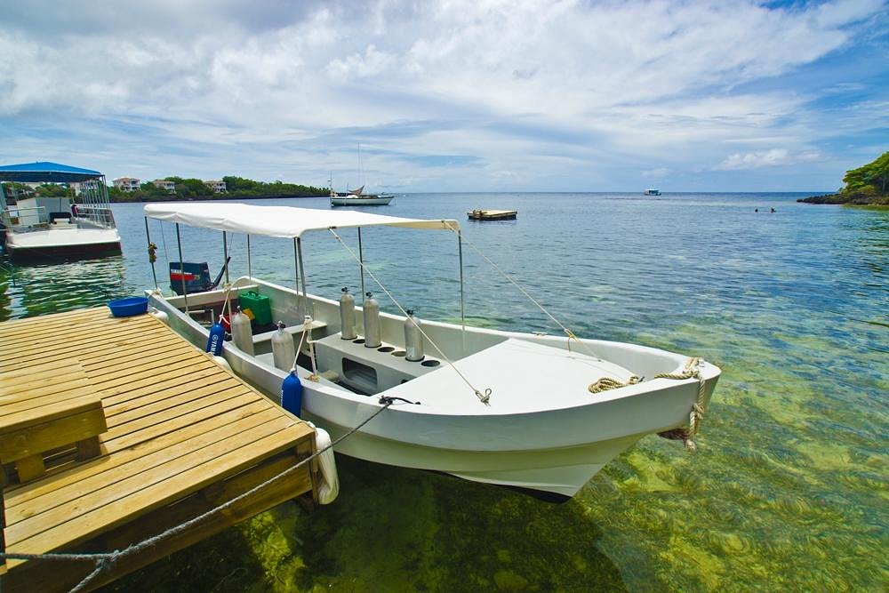 Ecodivers Scuba Diving Roatan, Honduras