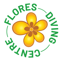 Flores Diving Centre Scuba Diving Komodo, Indonesia