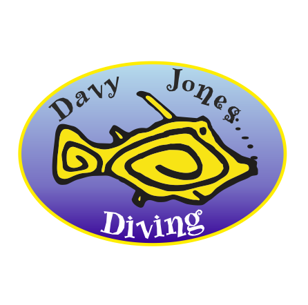 Davy Jones Diving PADI 5 star Dive Centre Scuba Diving Maspalomas, Spain