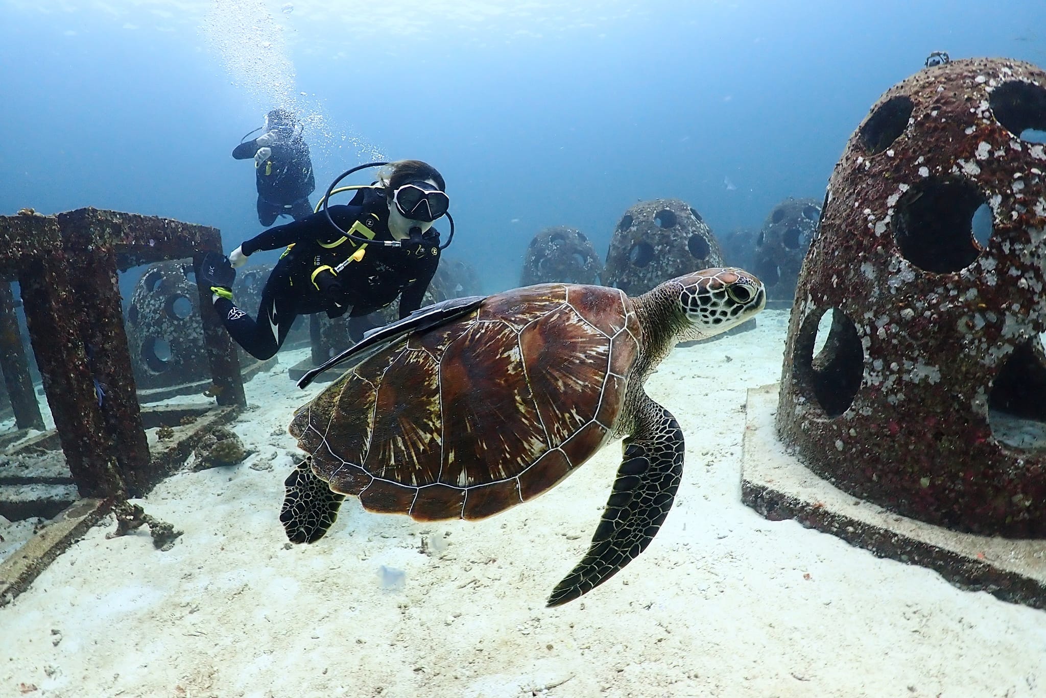 Thailand Divers Scuba Diving Phuket, Thailand
