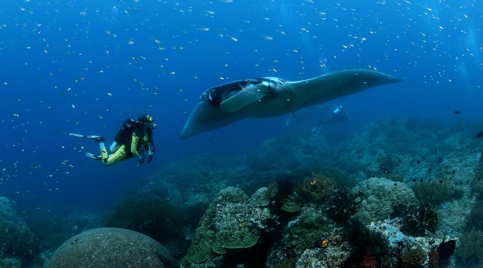 Daroyen Village Scuba Diving Raja Ampat, Indonesia