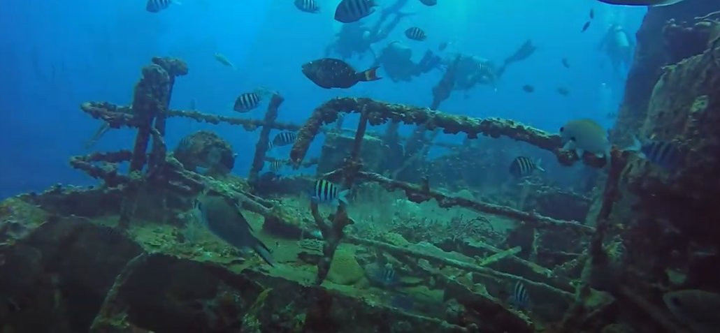 Jane Sea Wreck, Aruba Dive Site