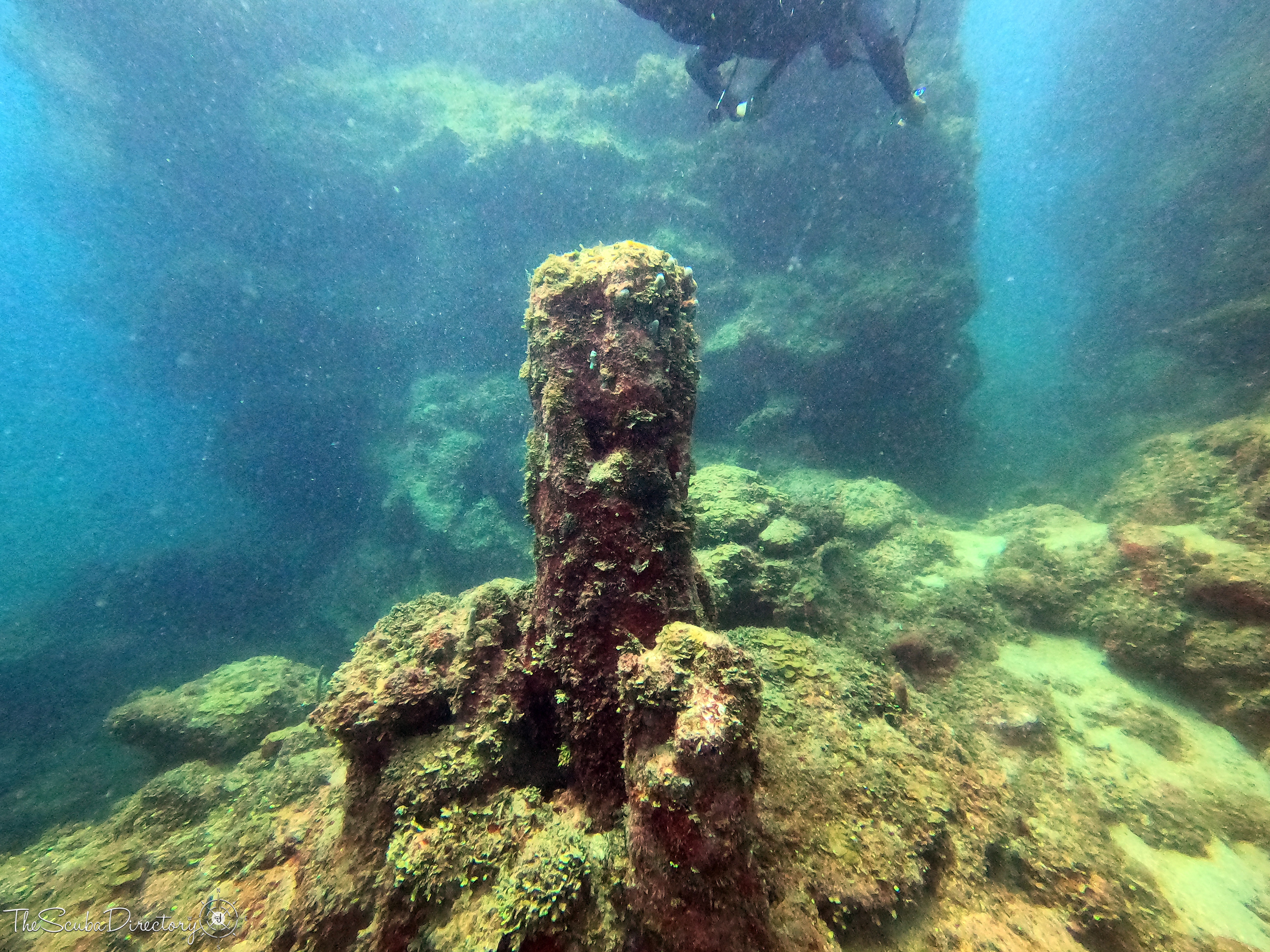 Moray Channel, Roatan Dive Site