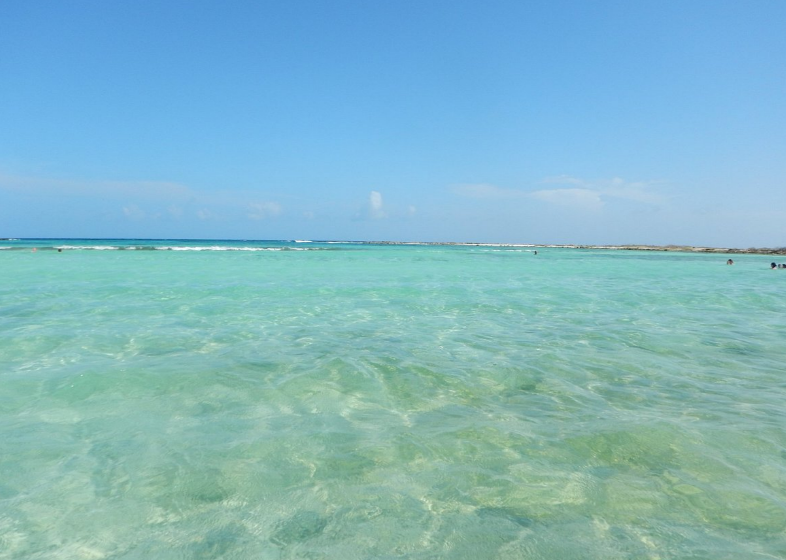 Baby Beach Reef, Aruba Dive Site