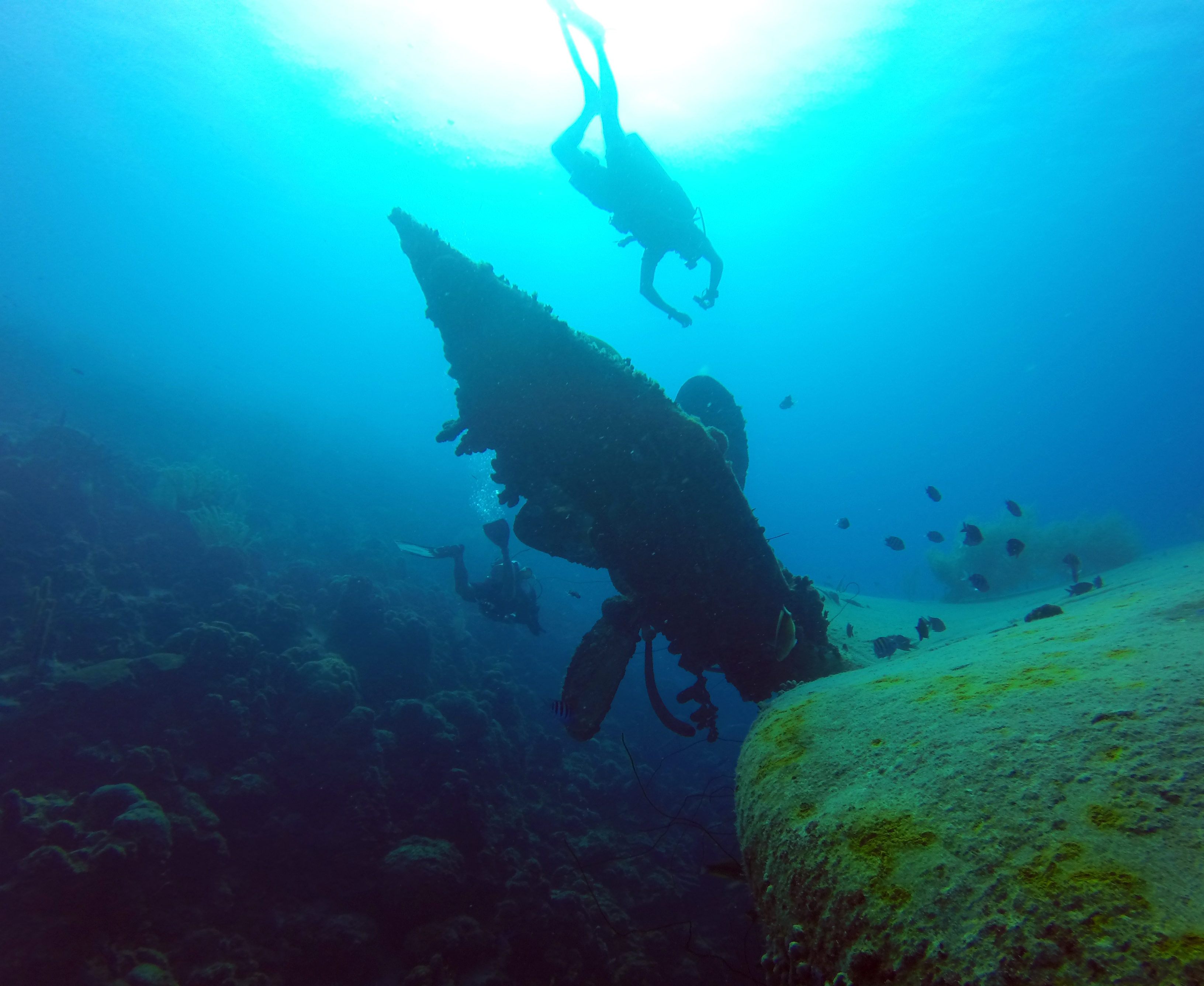 Hilma Hooker, Bonaire Dive Site