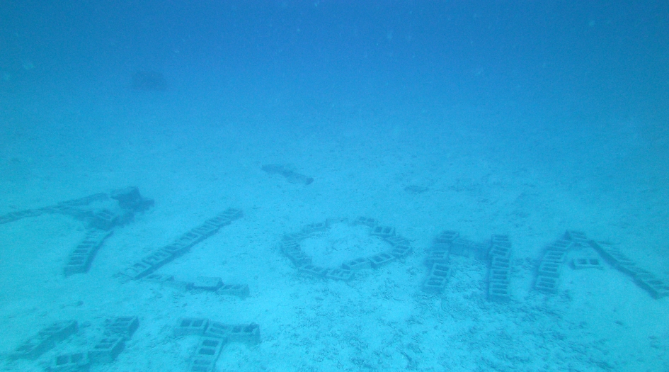 Place of Refuge (Two Step), Hawaii (Big Island) Dive Site