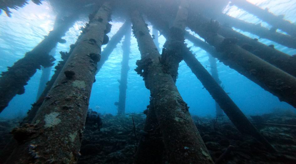 Salt Pier, Bonaire Dive Site