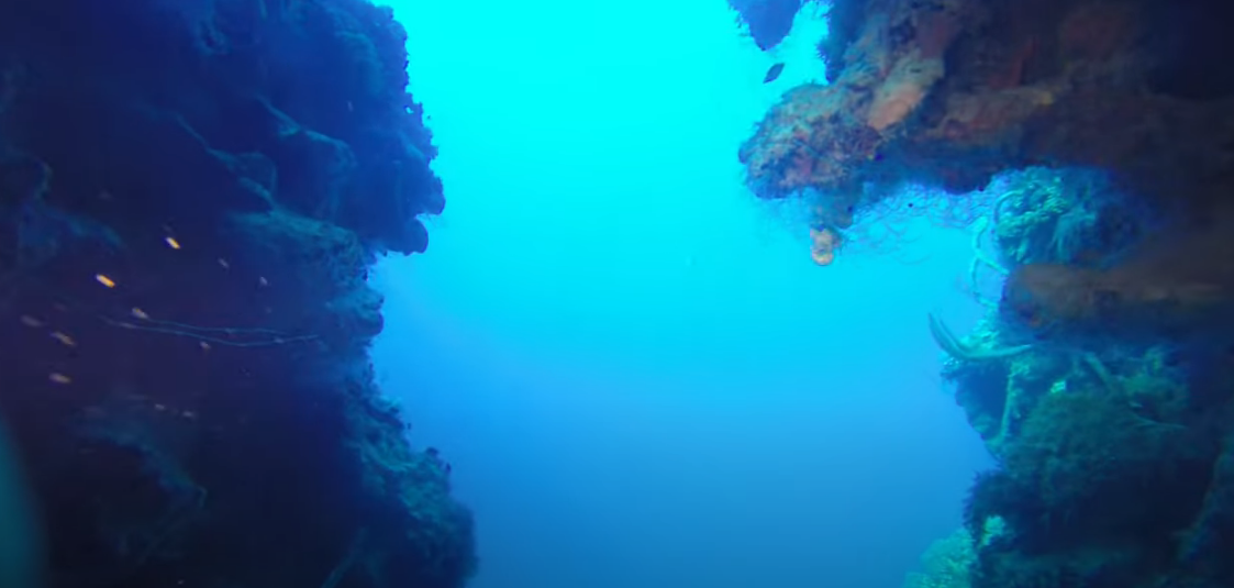 Widowmaker's Cave, Montego Bay Dive Site