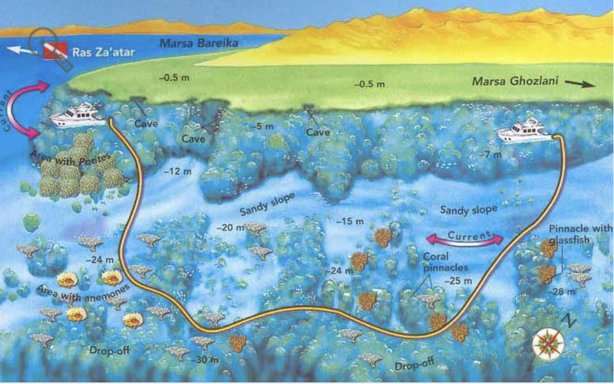 The Scuba Directory