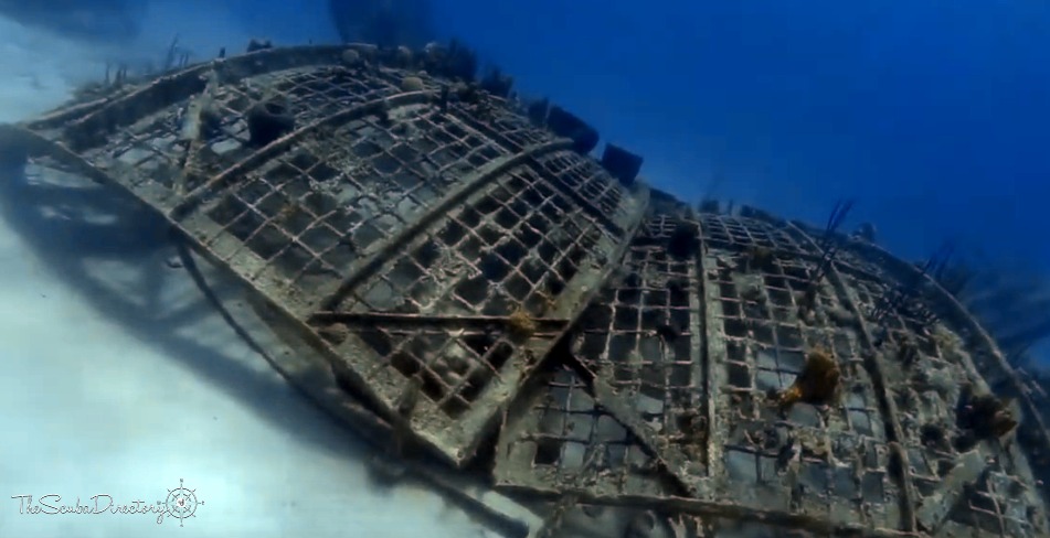 Thunderdome , Providenciales Dive Site