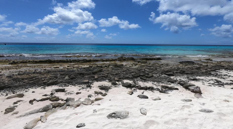 The Lake, Bonaire Dive Site