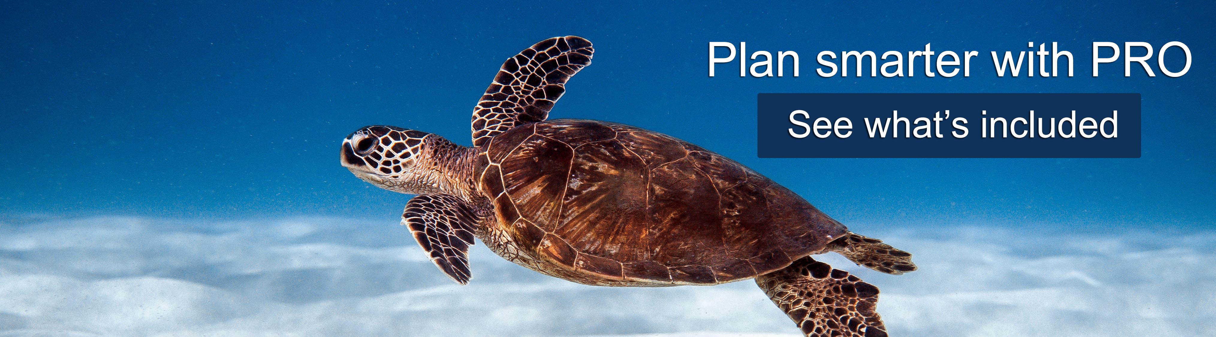 Explore TheScubaDirectory PRO