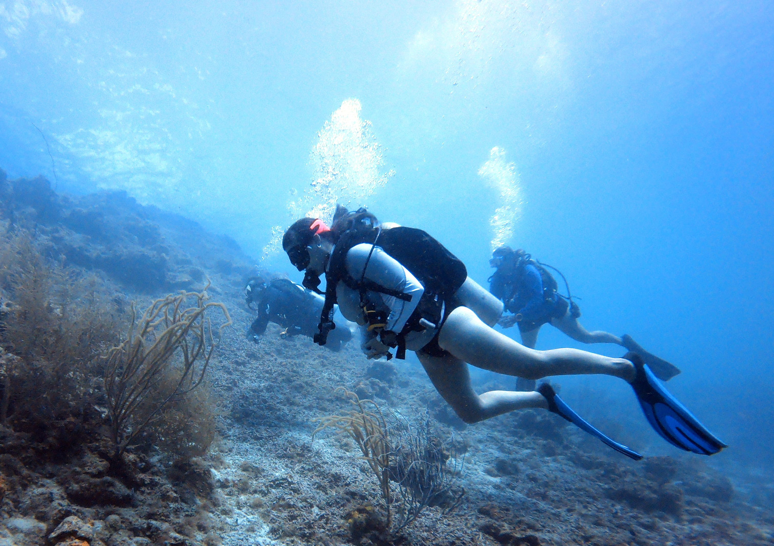 Plan your next dive trip