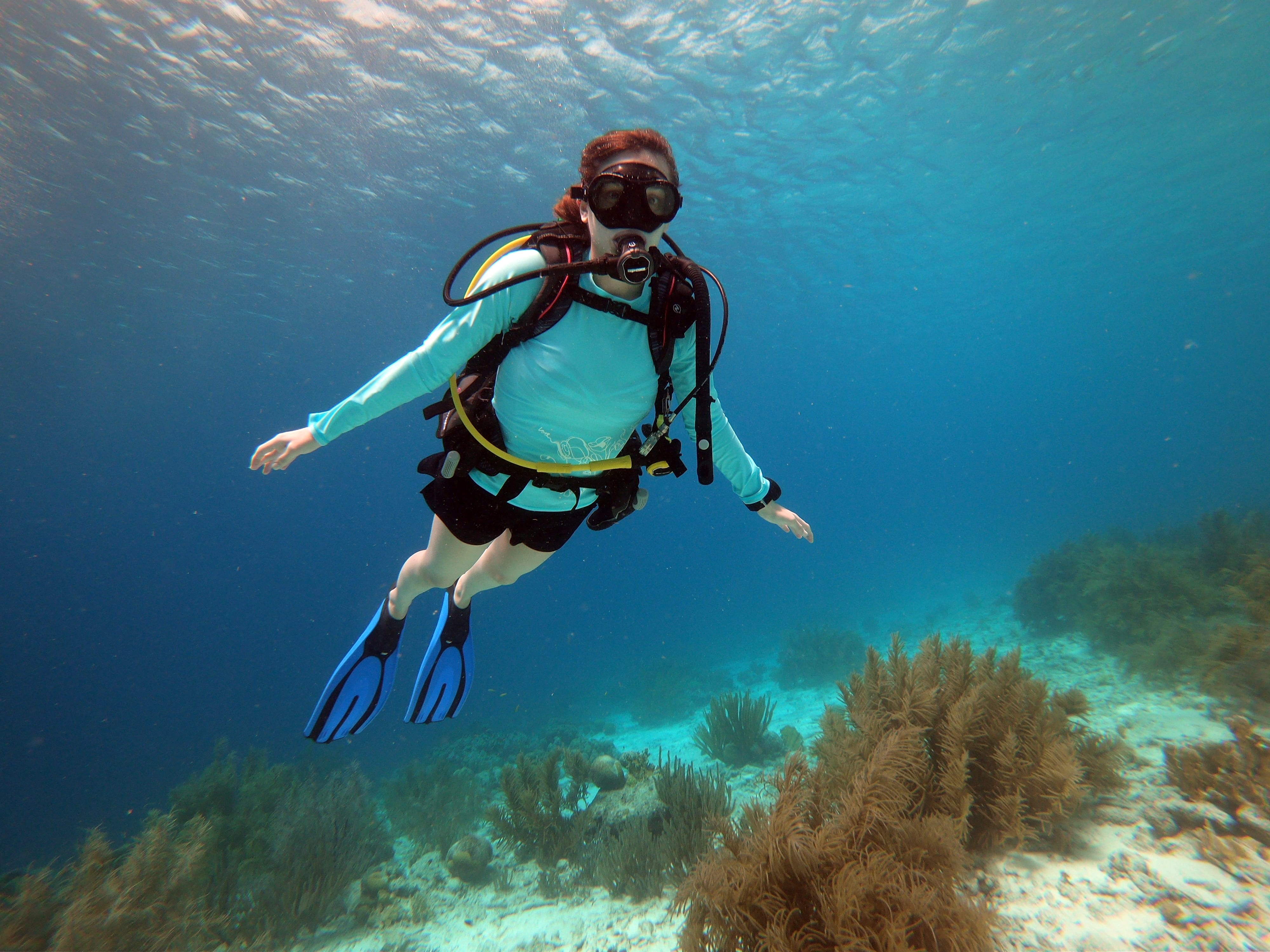 TheScubaDirectory Write Review